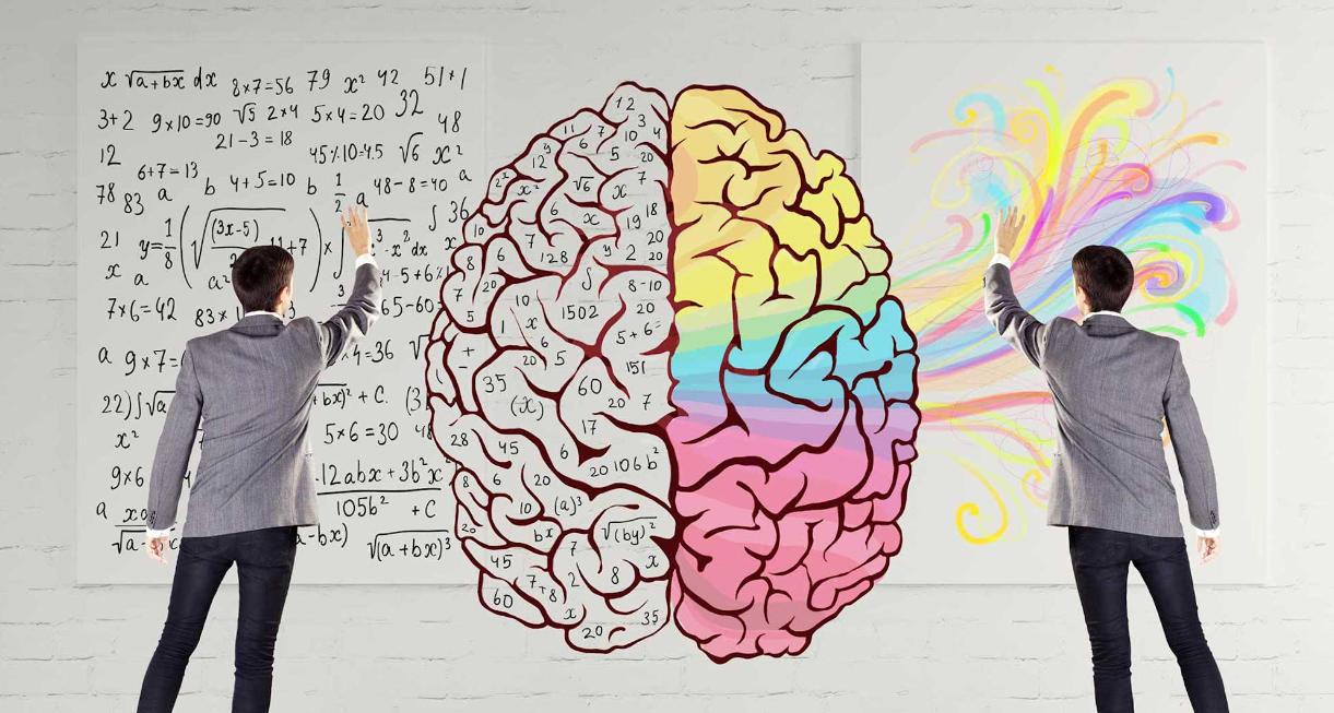 This is an image of the two hemispheres of the brain, creative and analytical, depicted as a man doing math on the left side of the brain and painting on the right side of it.